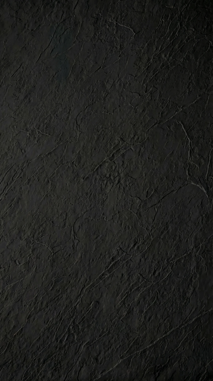 1c99d1006512fd6f2916b96d4595af4d